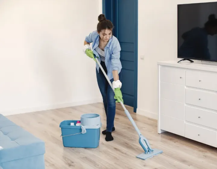 Femme de ménage Maisdon-sur-Sèvre